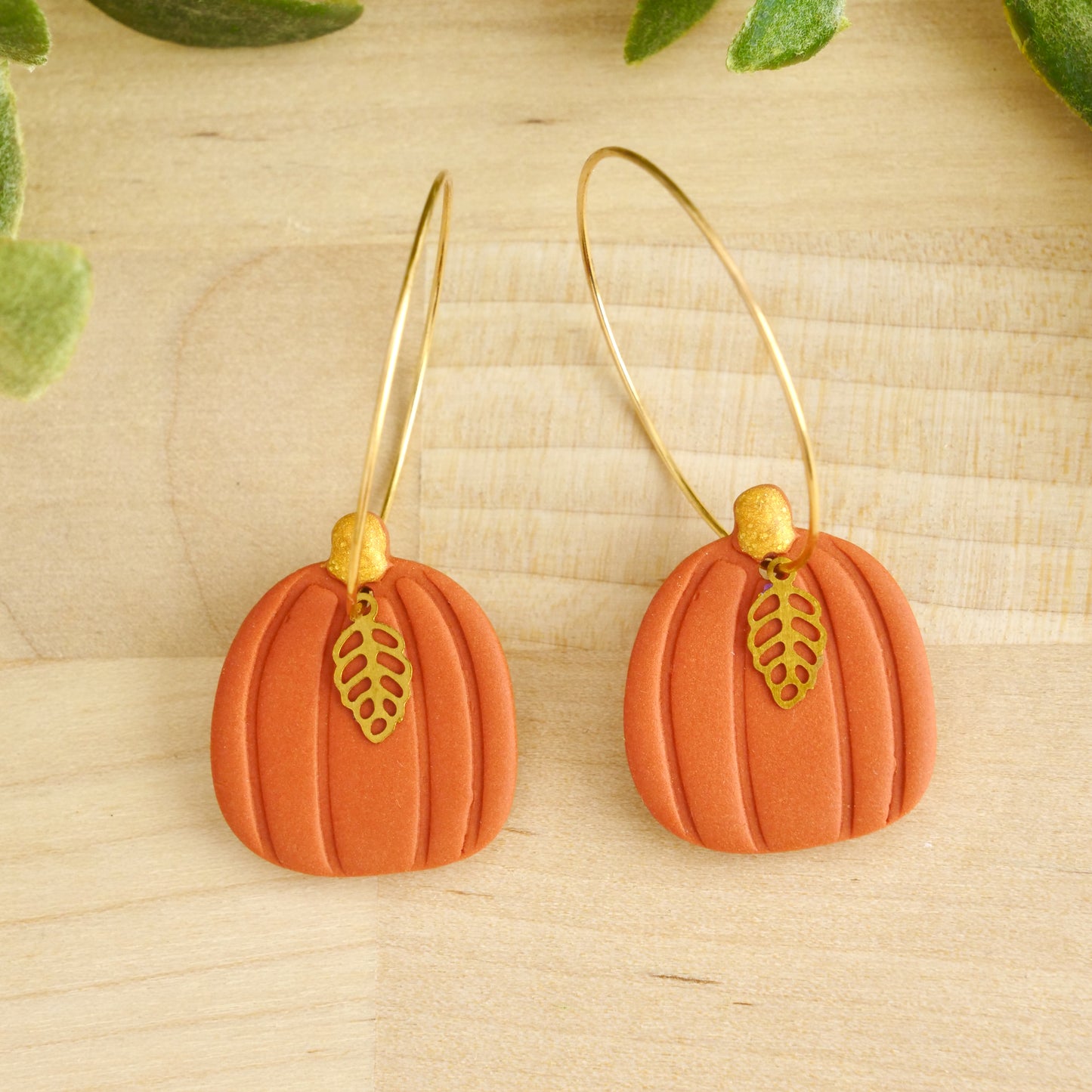 Pumpkin Hoops in Cinnamon