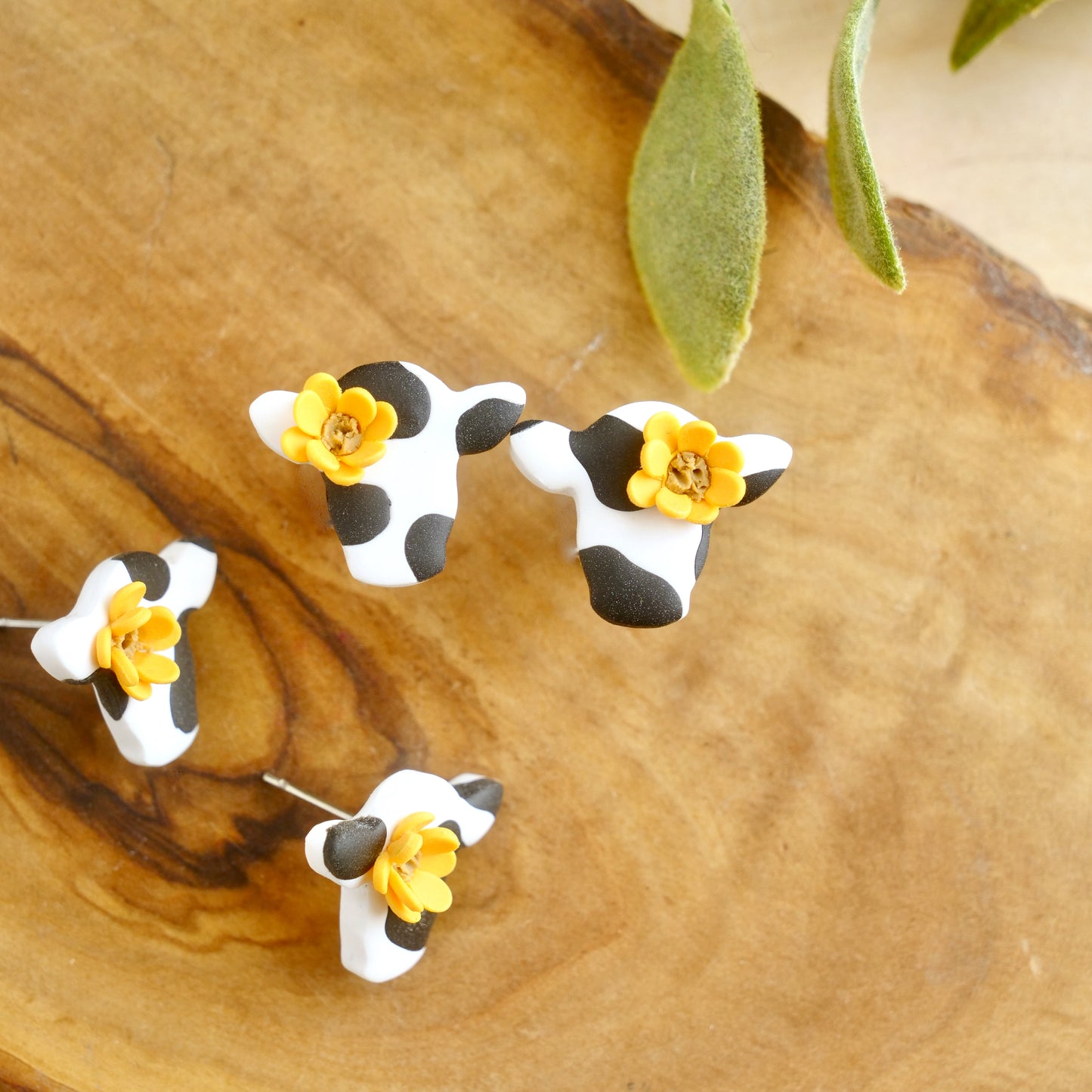 Cow Studs
