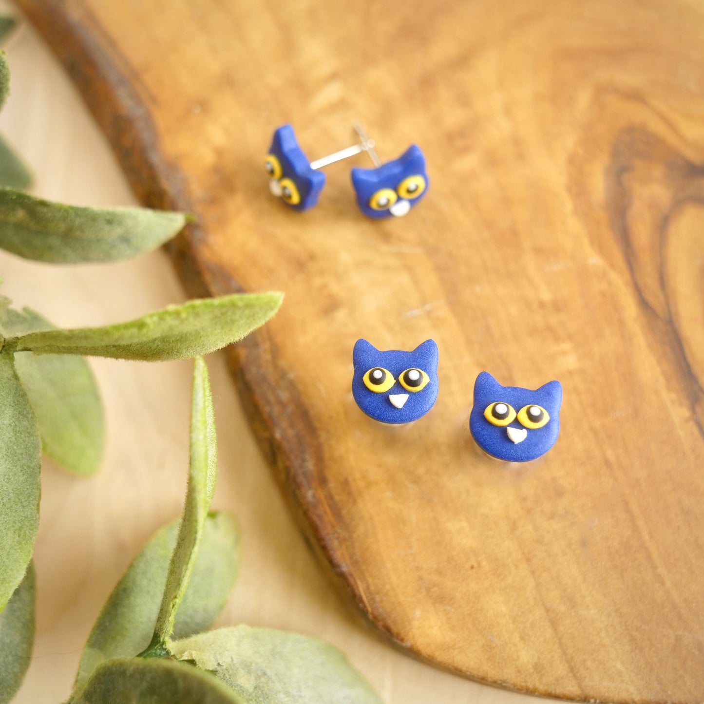 Blue Cat Studs