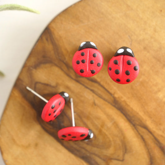 Ladybug Studs