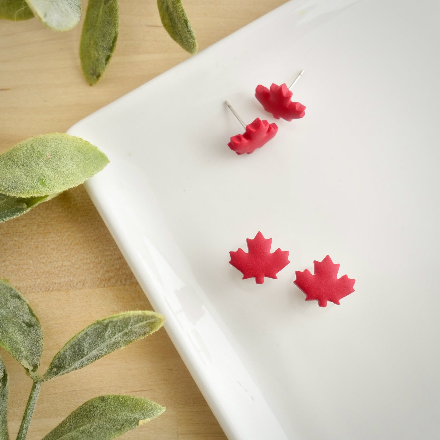 Maple Leaf Stud