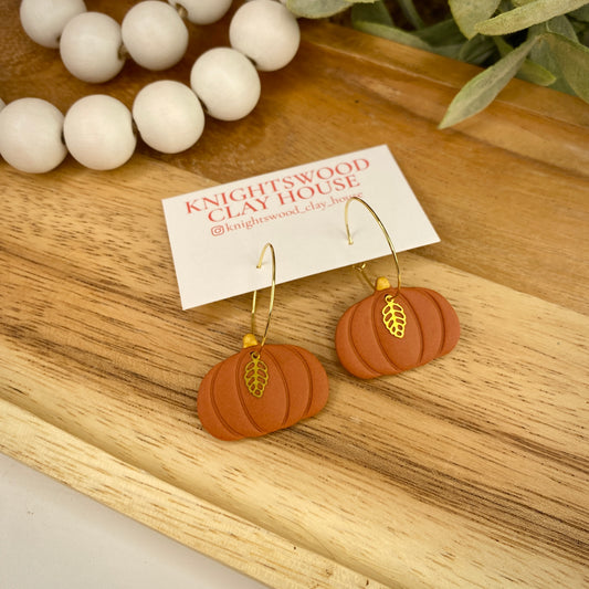 Pumpkin Hoops in Cinnamon